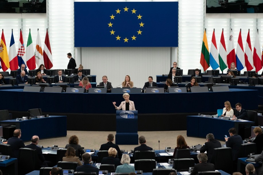 EU Platform Work